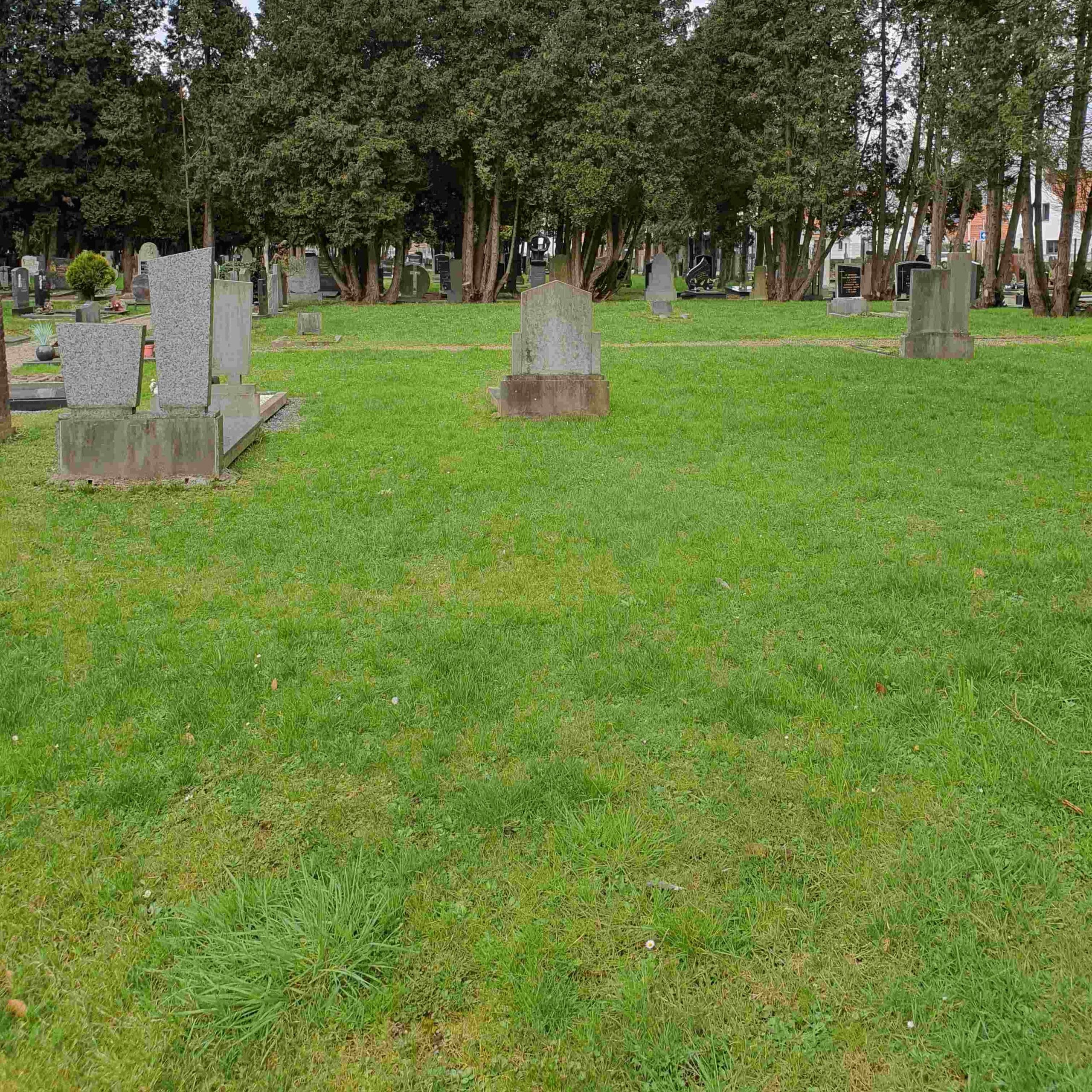 Cemetery with tomb stones and green grass