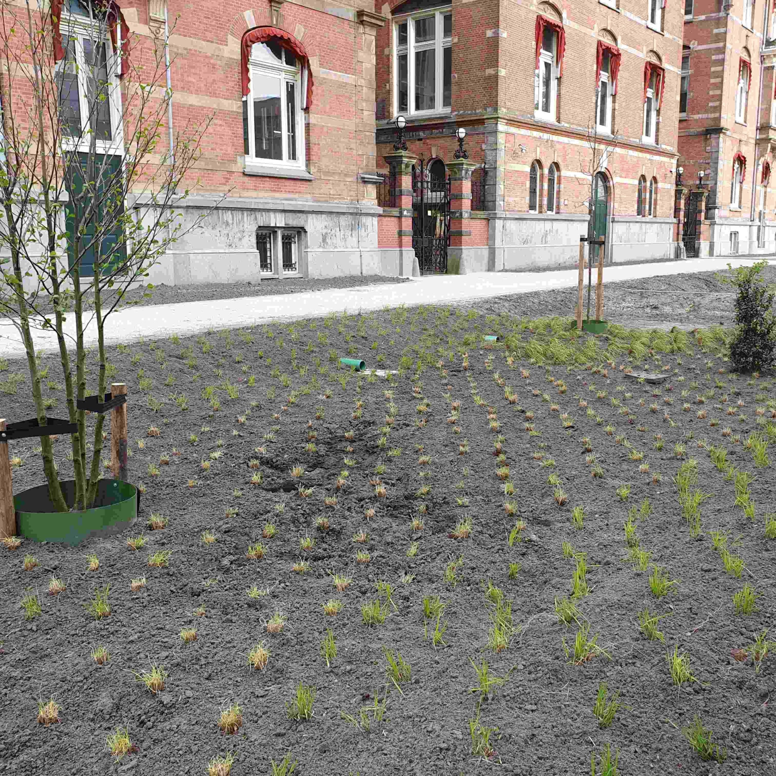 Infiltreren in de toekomst