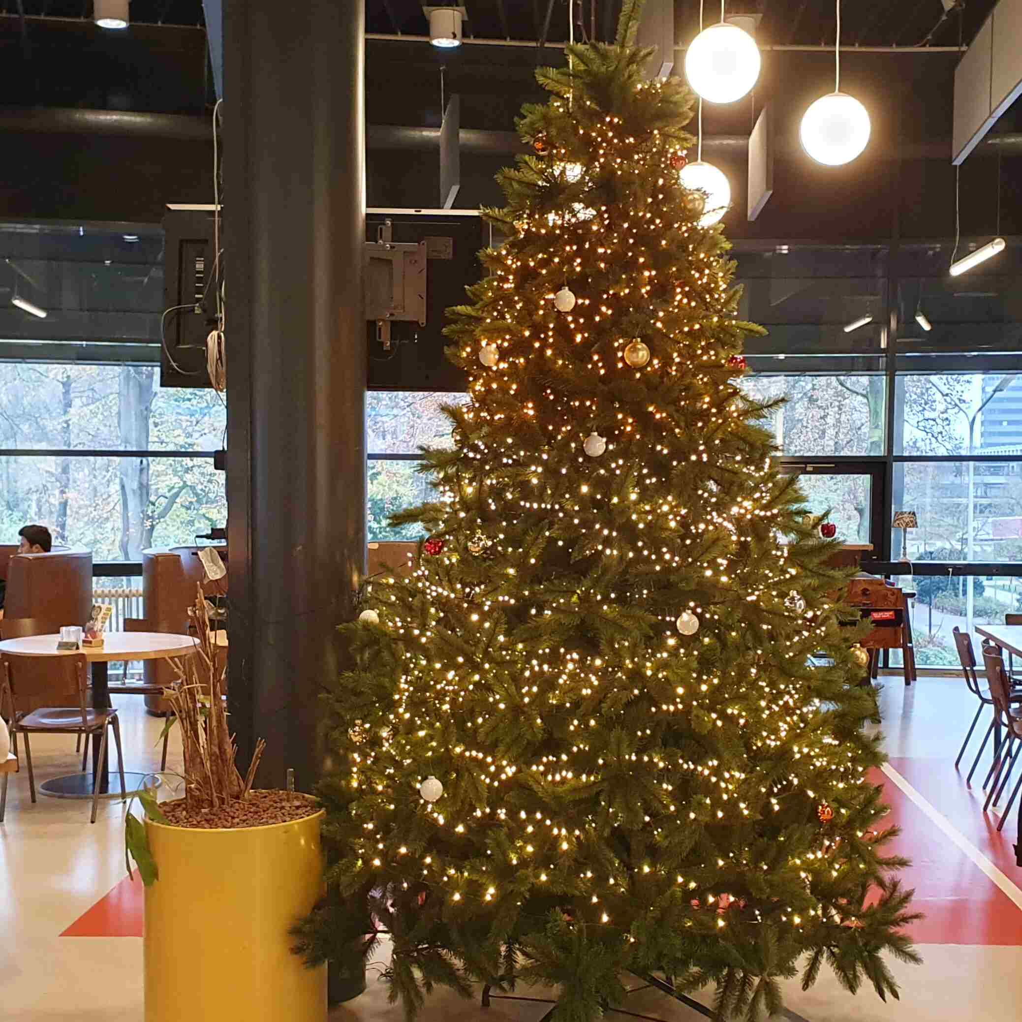 Vrolijk en gelukkig Sinterkerstjaar!