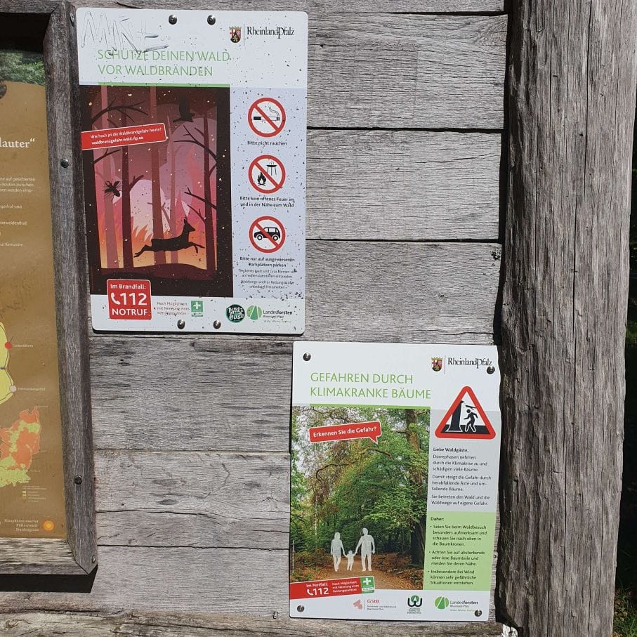 Signs with warnings falling tree branches in forest